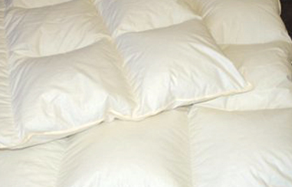 about-store2 about-store2